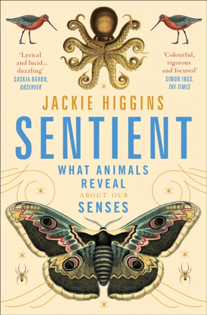 Sentient : What Animals Reveal About Human Senses, Paperback / softback Book
