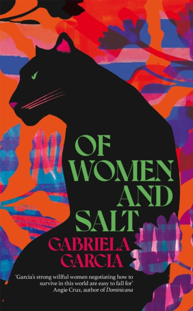 Of Women and Salt, Hardback Book
