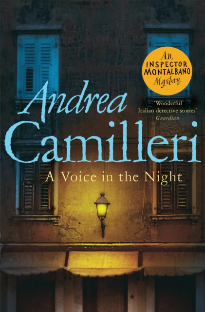 A Voice in the Night, Paperback / softback Book