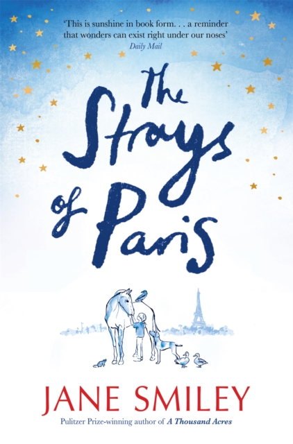 The Strays of Paris, Paperback / softback Book