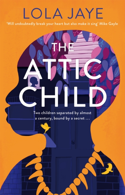 The Attic Child, Hardback Book