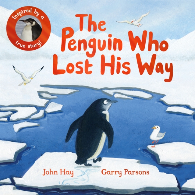 The Penguin Who Lost His Way : Inspired by a True Story, Paperback / softback Book