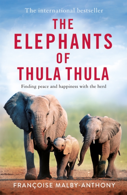 The Elephants of Thula Thula : Finding peace and happiness with the herd, Paperback / softback Book