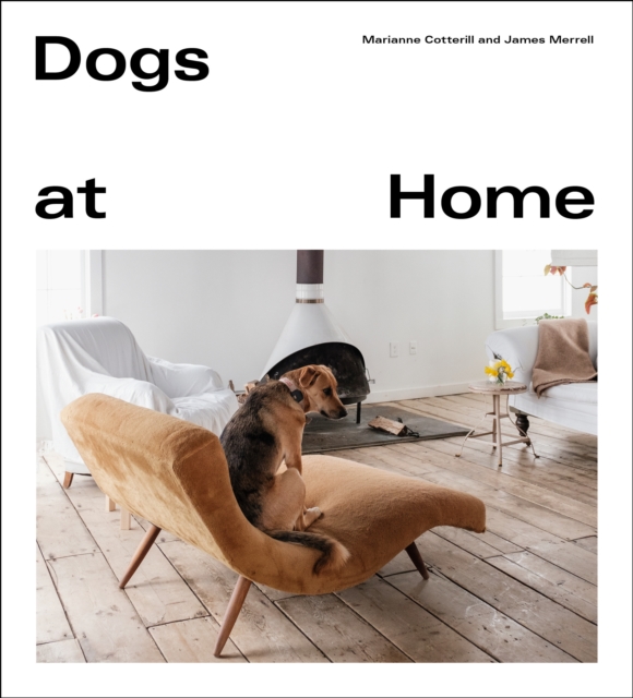 Dogs at Home, Hardback Book