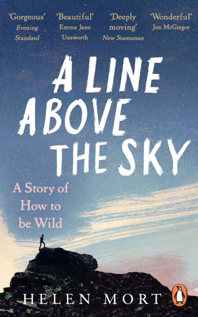 A Line Above the Sky : On Mountains and Motherhood, Paperback / softback Book