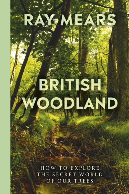 British Woodland : How to explore the secret world of our forests, Hardback Book