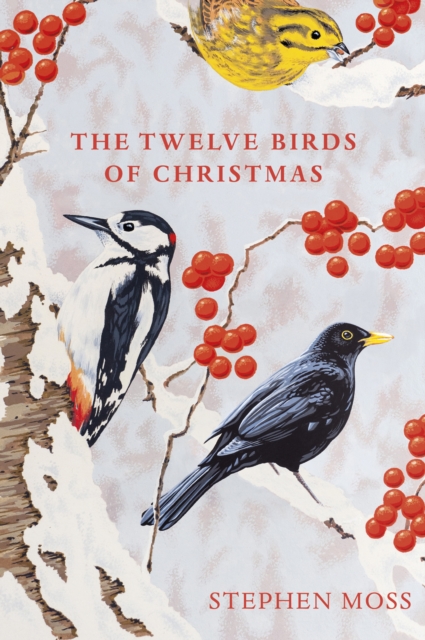 The Twelve Birds of Christmas, Hardback Book