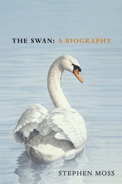 The Swan : A Biography, Hardback Book