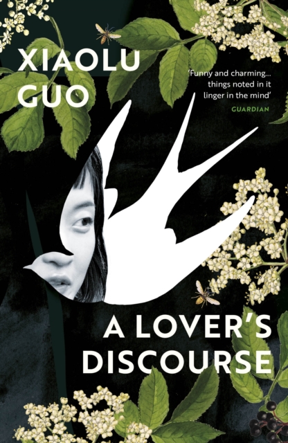 A Lover's Discourse, Paperback / softback Book