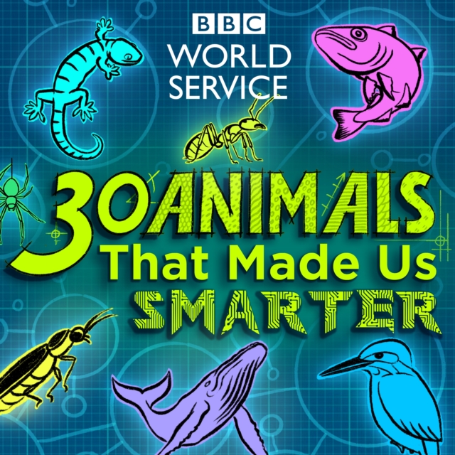 30 Animals That Made Us Smarter : Amazing things humans have learnt from the animal kingdom, eAudiobook MP3 eaudioBook