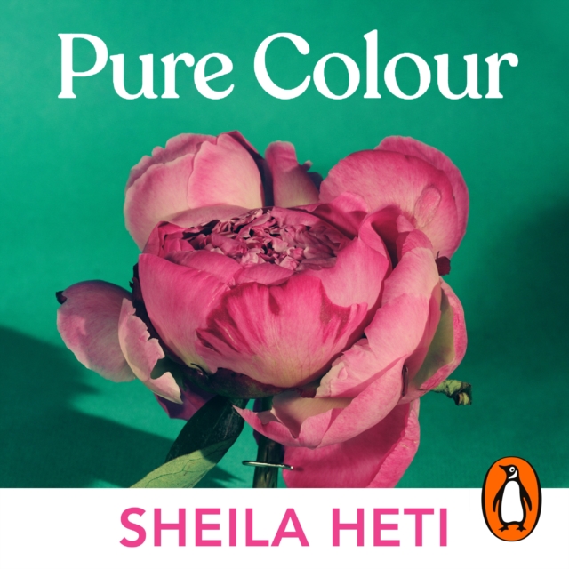 Pure Colour : the new novel from the author of Motherhood and How Should A Person Be?, eAudiobook MP3 eaudioBook