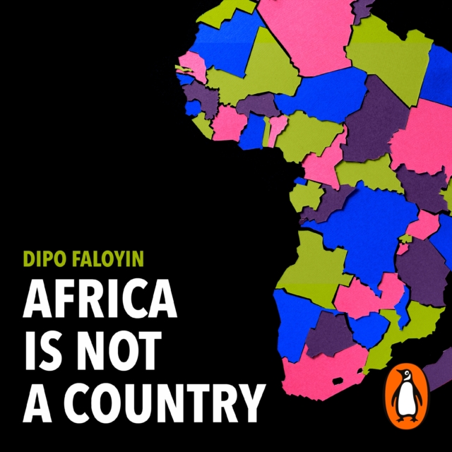 Africa Is Not A Country : Breaking Stereotypes of Modern Africa, eAudiobook MP3 eaudioBook