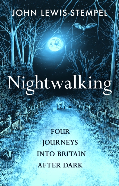 Nightwalking : Four Journeys into Britain After Dark, EPUB eBook