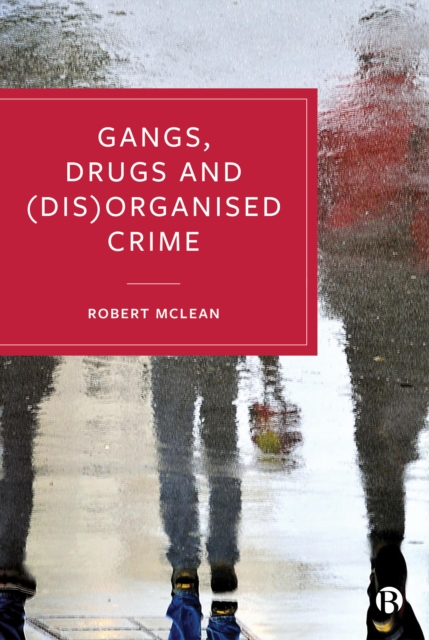 Gangs, Drugs and (Dis)Organised Crime, PDF eBook