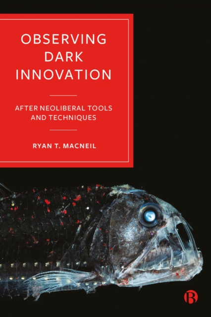 Observing Dark Innovation : After Neoliberal Tools and Techniques, PDF eBook