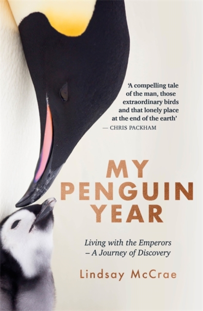My Penguin Year : Living with the Emperors - A Journey of Discovery, Hardback Book