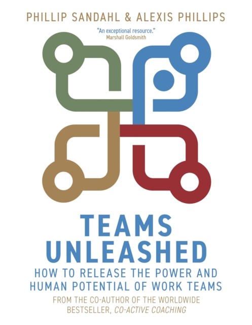 Teams Unleashed : How to Release the Power and Human Potential of Work Teams, Paperback / softback Book