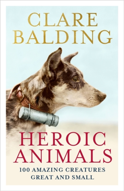 Heroic Animals : Amazing Creatures that Changed Our World, Paperback / softback Book