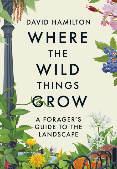 Where the Wild Things Grow : A Forager's Guide to the Landscape, Paperback / softback Book