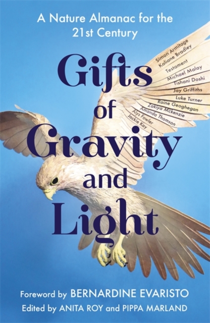 Gifts of Gravity and Light, Hardback Book