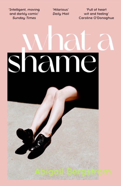 What a Shame : 'Intelligent, moving and darkly comic' The Sunday Times, EPUB eBook