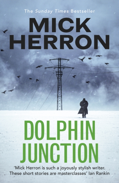 Dolphin Junction, EPUB eBook