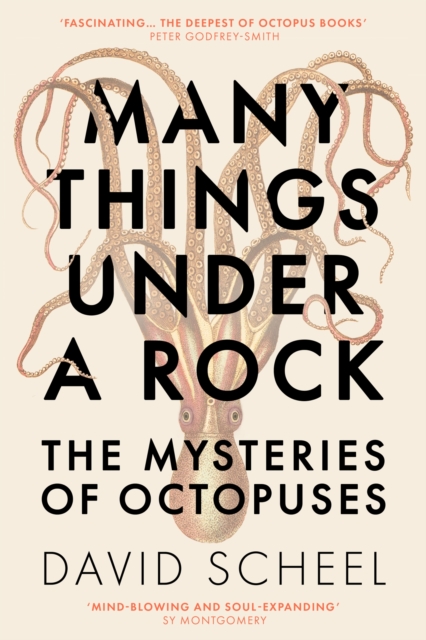 Many Things Under a Rock : The Mysteries of Octopuses, Hardback Book