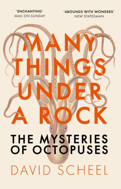 Many Things Under a Rock : The Mysteries of Octopuses, EPUB eBook