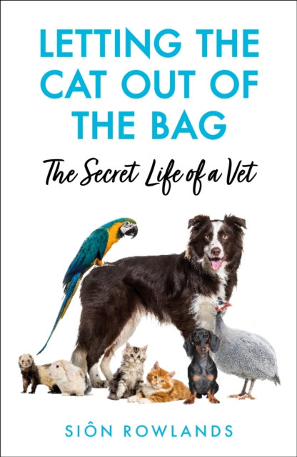 Letting the Cat Out of the Bag : The Secret Life of a Vet, Paperback / softback Book