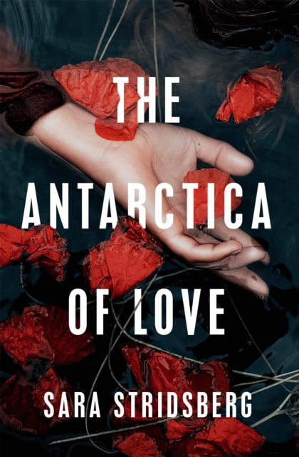 The Antarctica of Love, Hardback Book
