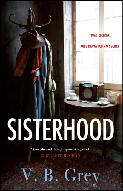Sisterhood : A heartbreaking mystery of family secrets and lies, Paperback / softback Book