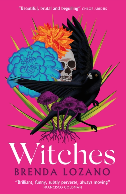 Witches, Paperback / softback Book