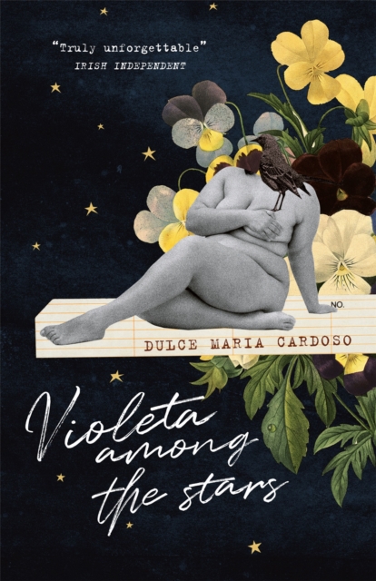 Violeta among the Stars, Paperback / softback Book
