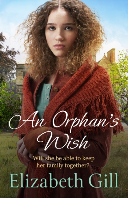 An Orphan's Wish, Paperback / softback Book