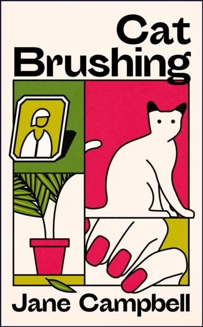 Cat Brushing : a dazzling short story collection about thirteen older women, Paperback / softback Book