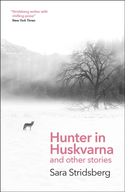 Hunter in Huskvarna, Paperback / softback Book