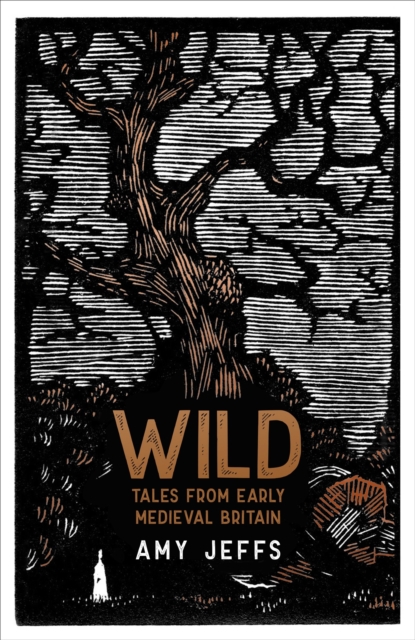 Wild : Tales from Early Medieval Britain, Hardback Book