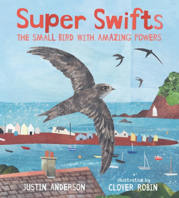 Super Swifts: The Small Bird With Amazing Powers, Hardback Book