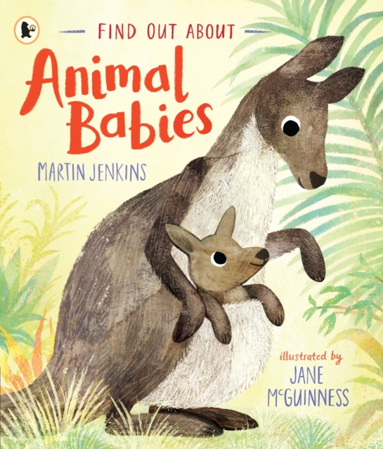 Find Out About ... Animal Babies, Paperback / softback Book