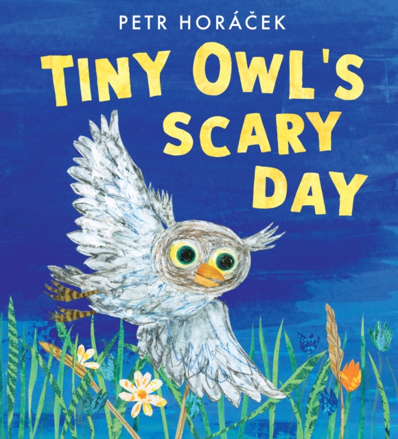 Tiny Owl's Scary Day, Hardback Book