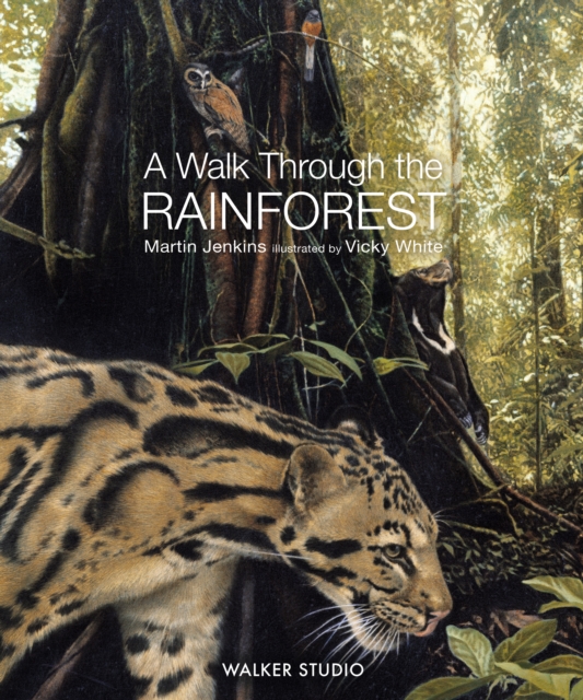 A Walk Through the Rainforest, Paperback / softback Book