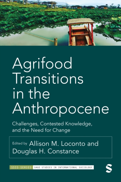 Agrifood Transitions in the Anthropocene : Challenges, Contested Knowledge, and the Need for Change, Hardback Book