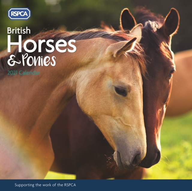 British Horses & Ponies, RSPCA Square Wall Calendar 2021, Paperback Book