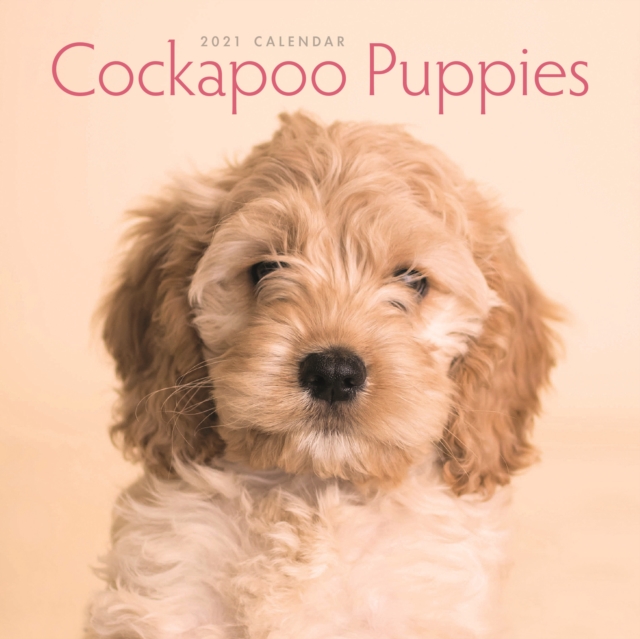 Cockapoo Puppies Mini Square Wall Calendar 2021, Paperback Book