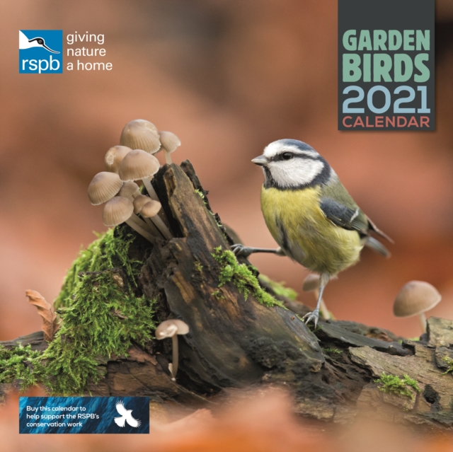 RSPB British Garden Birds Square Wall Calendar 2021, Paperback Book