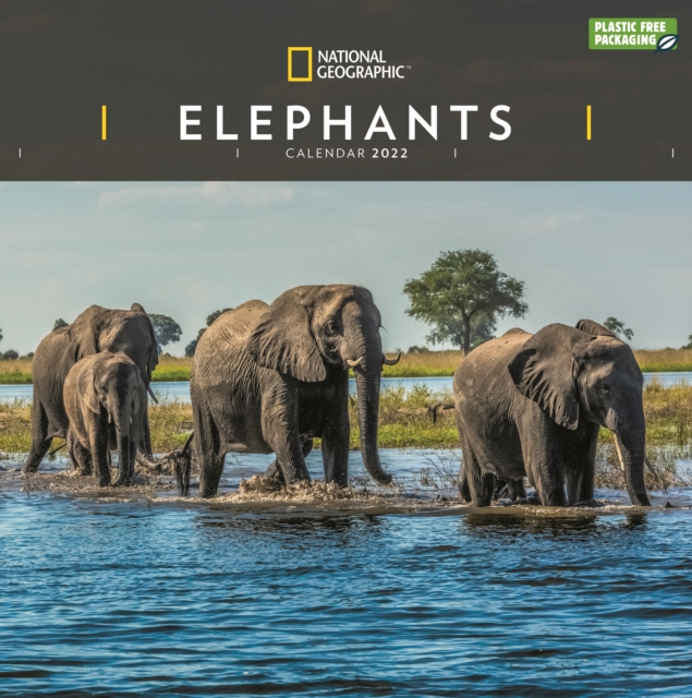 Elephants National Geographic Square Wall Calendar 2022, Calendar Book