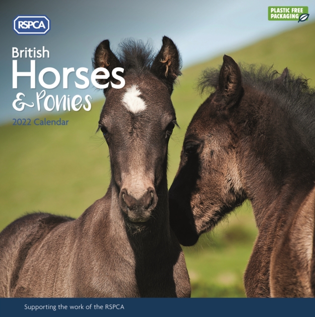 British Horses & Ponies, RSPCA Square Wall Calendar 2022, Calendar Book