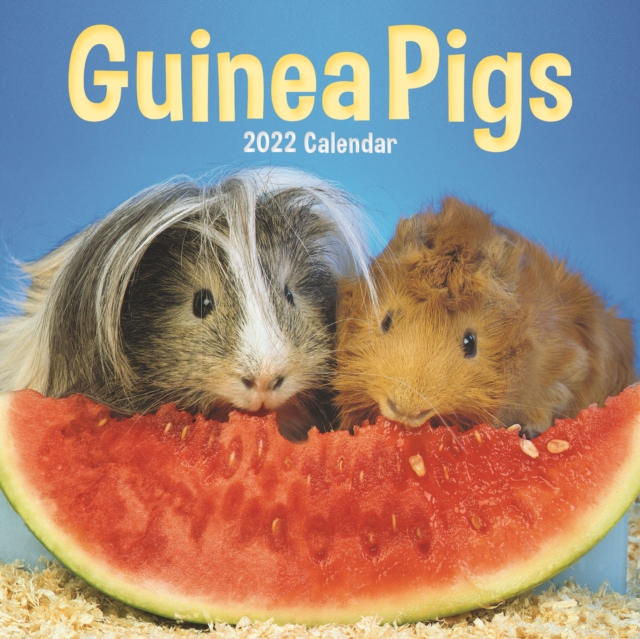 Guinea Pigs Mini Square Wall Calendar 2022, Calendar Book