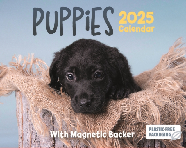 Puppies Mini Box Calendar 2025, Paperback Book