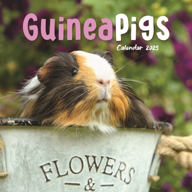 Guinea Pigs Square Mini Calendar 2025, Paperback Book